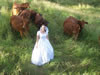 Tennille Hens 2